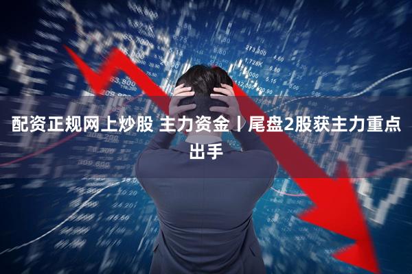 配资正规网上炒股 主力资金丨尾盘2股获主力重点出手